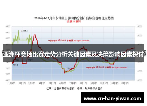 亚洲杯赛场比赛走势分析关键因素及决策影响因素探讨